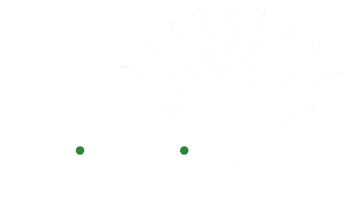 Sunshine-Lawns-Logo-white-e1723797384219.png