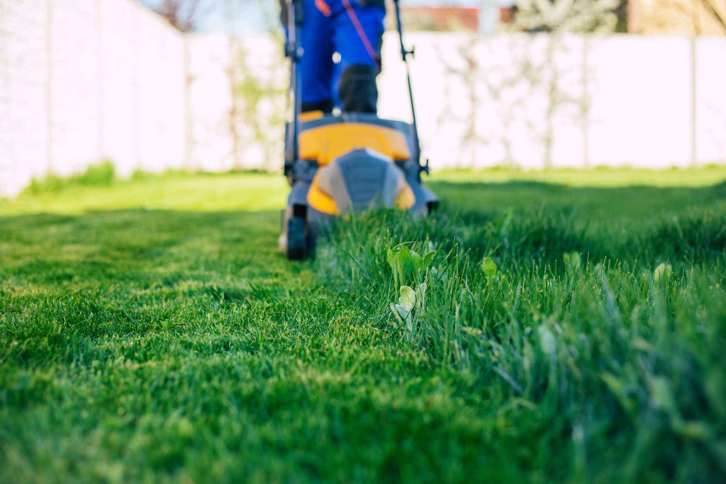 young-man-mows-lawn-using-electric-lawn-mower-special-worker-suit-near-large-country-house-backyard.jpg