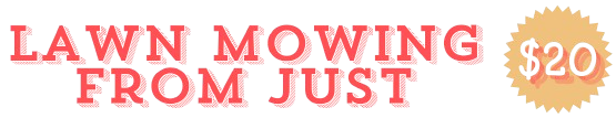 Lawn_Mowing_from_Just__20__3_-removebg-preview-e1724249434245.png